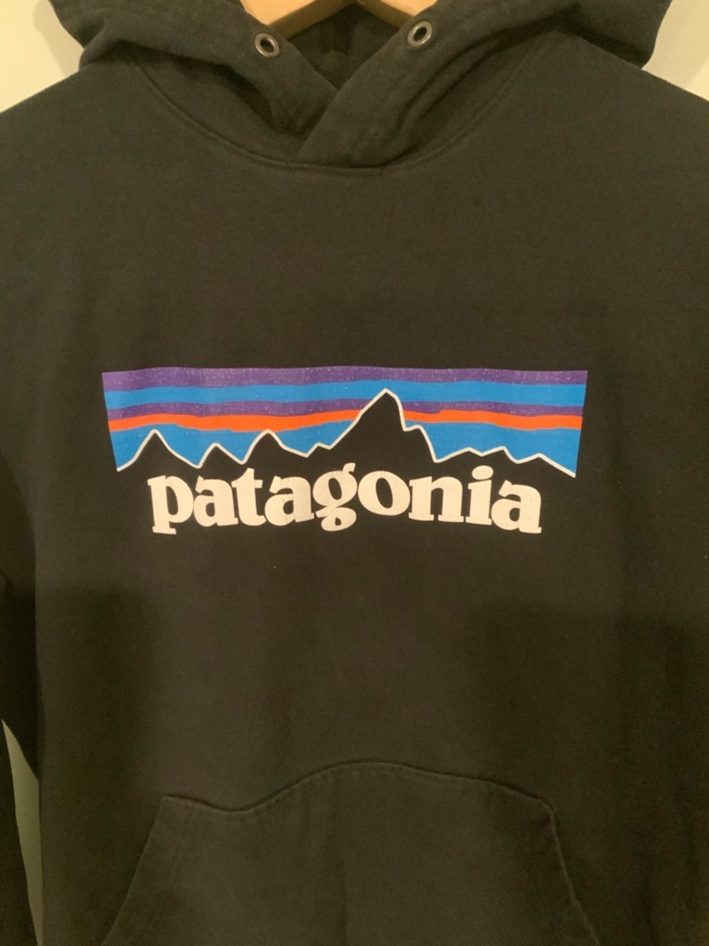 Patagonia Logo Hoodie Pullover Sweatshirt - Picture 2 of 8
